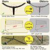Badminton Set TOLEAD Steel Frame Outdoor-4