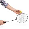 Triumph Badminton Set Alloy Steel Outdoor-3